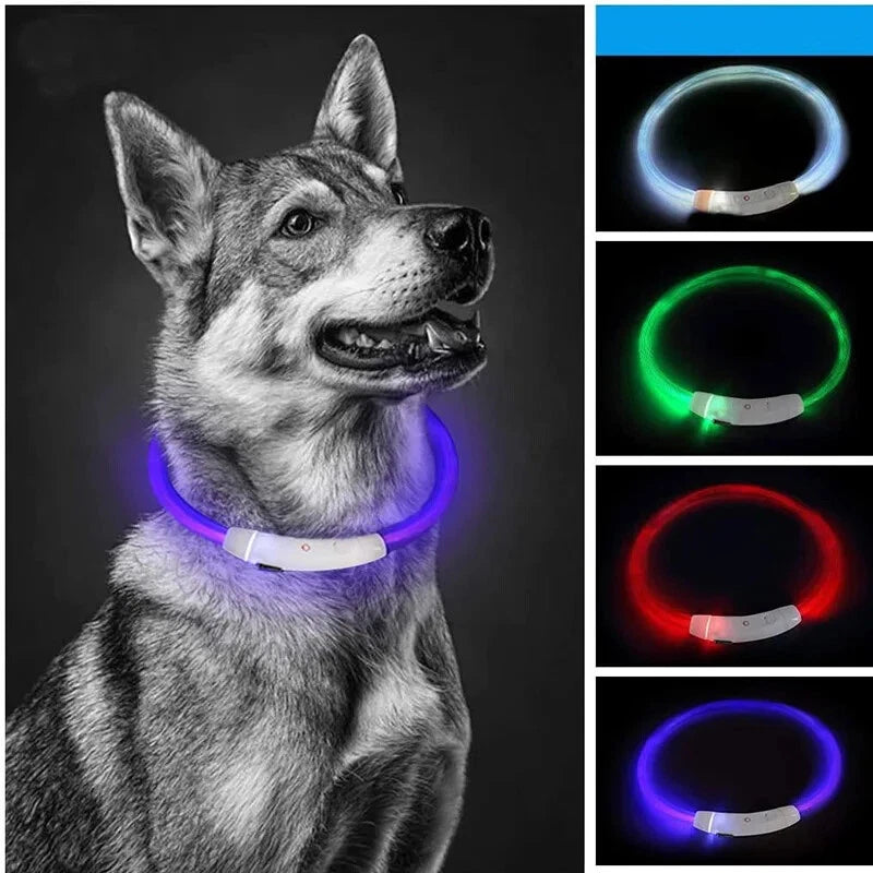Shopify LED Pet Collar