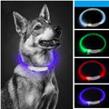 Shopify LED Pet Collar
