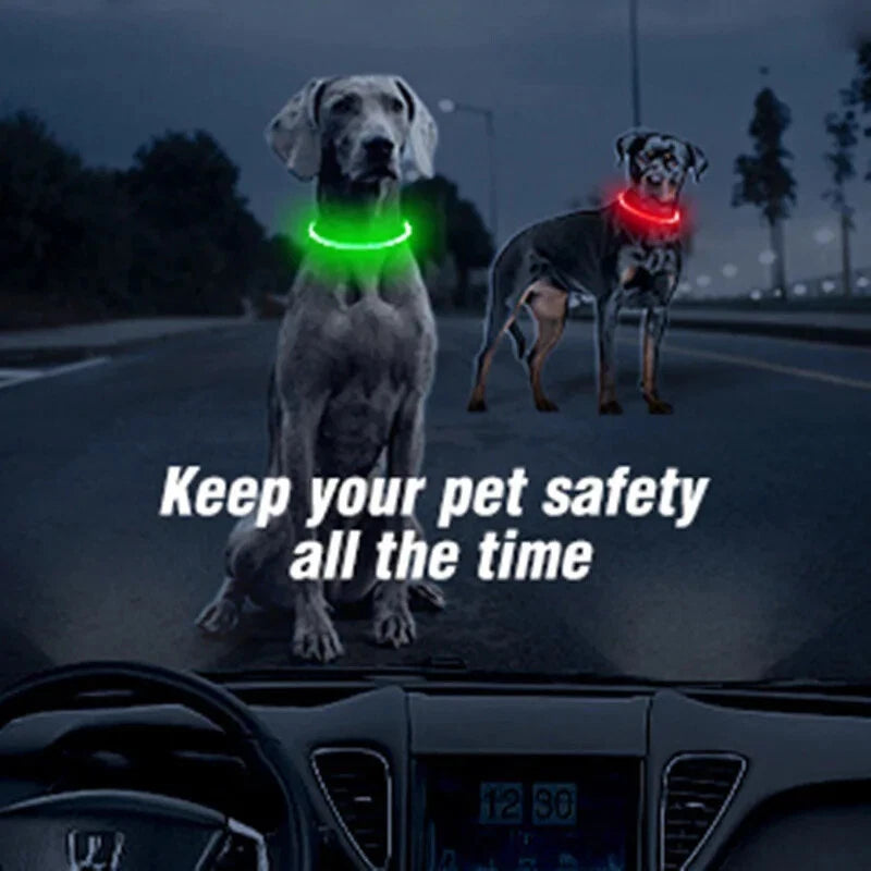 LED Pet Collar