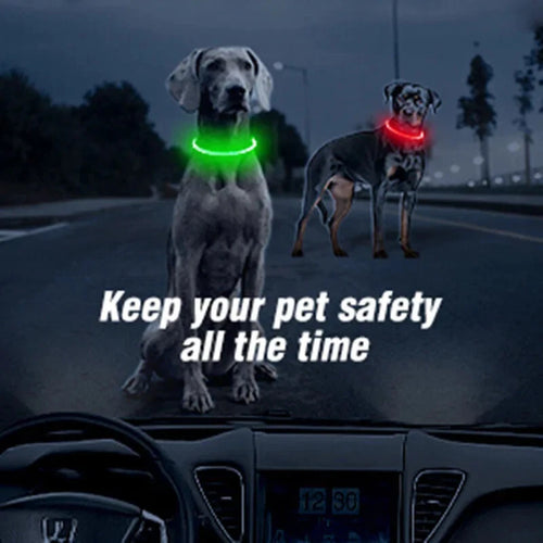 LED Pet Collar