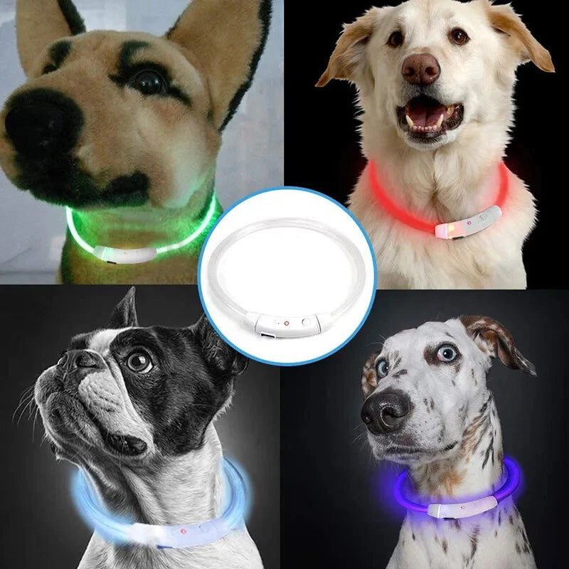 LED Pet Collar
