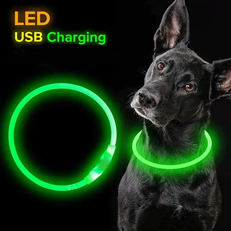 Shopify LED Pet Collar