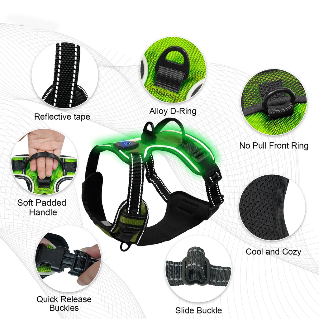 Shopify - LED Harness