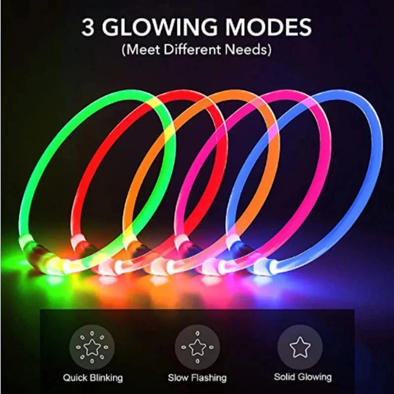 Shopify LED Pet Collar
