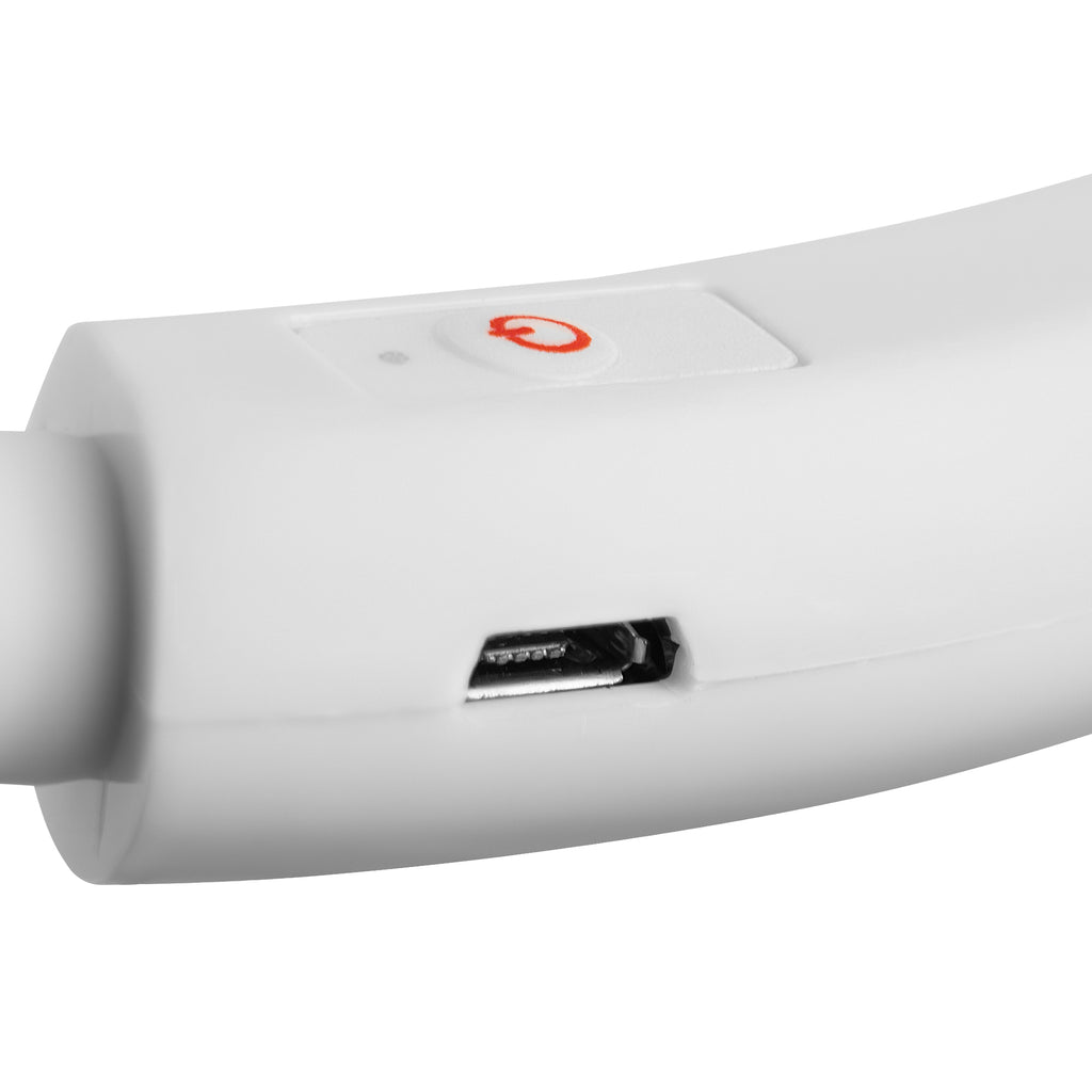 RadPaws LED Pet Collar