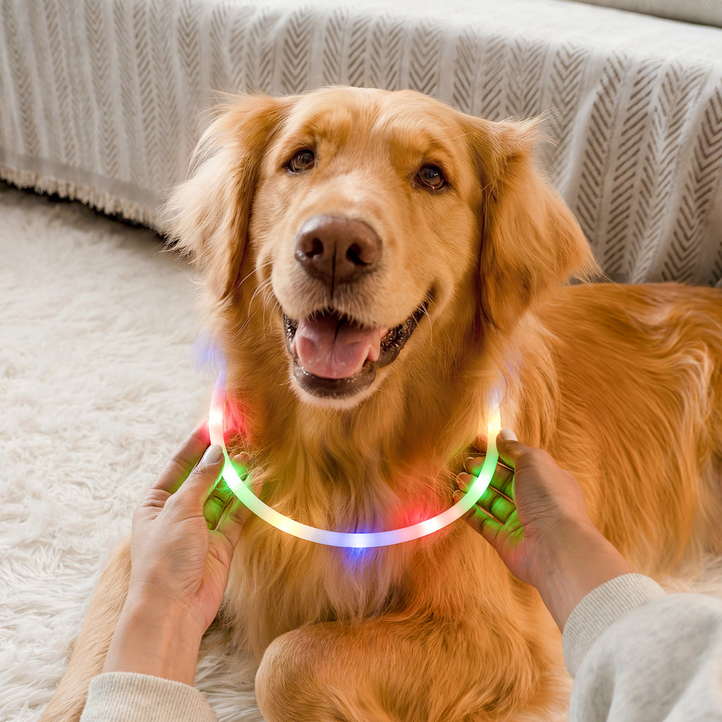 RadPaws LED Pet Collar